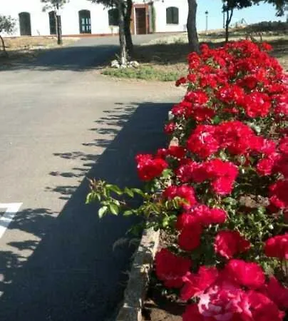 Kamp alanı Complejo Pueblo Blanco